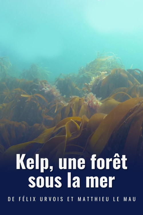 Kelp, une forêt sous la mer (2022) poster