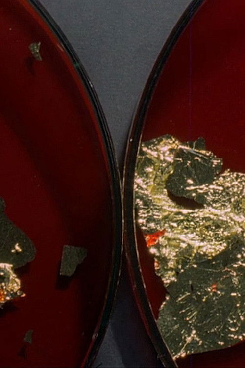 Approach/Withdraw (2016) poster