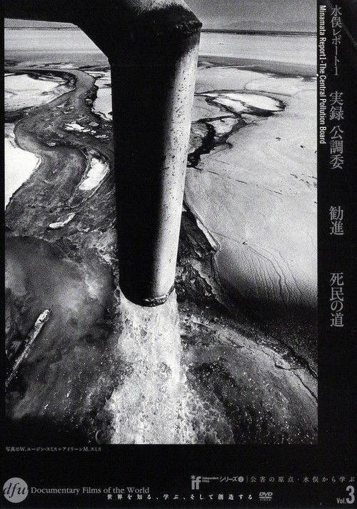 Minamata Report 1 - The Central Pollution Board (1973) poster