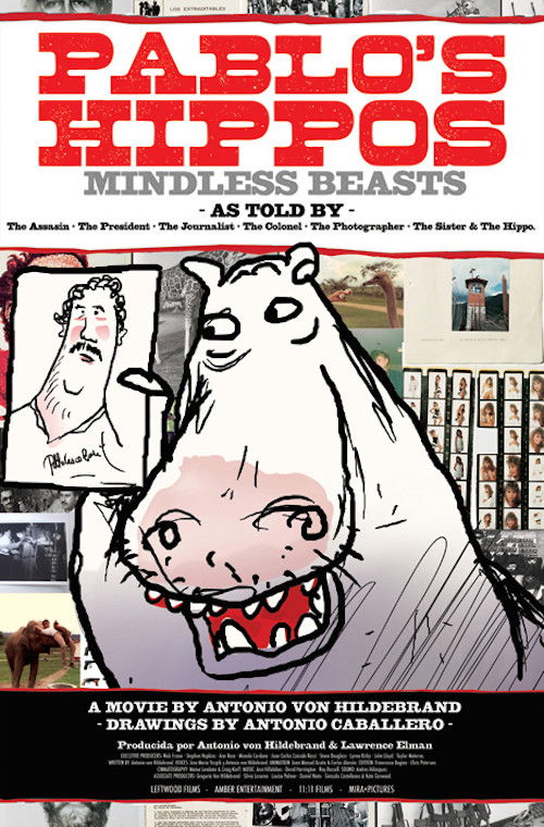 Pablo's Hippos (2010) poster
