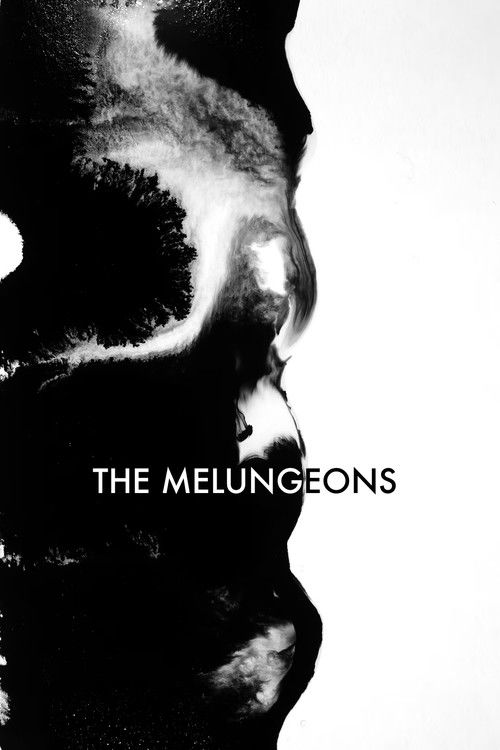 The Melungeons (2013) poster