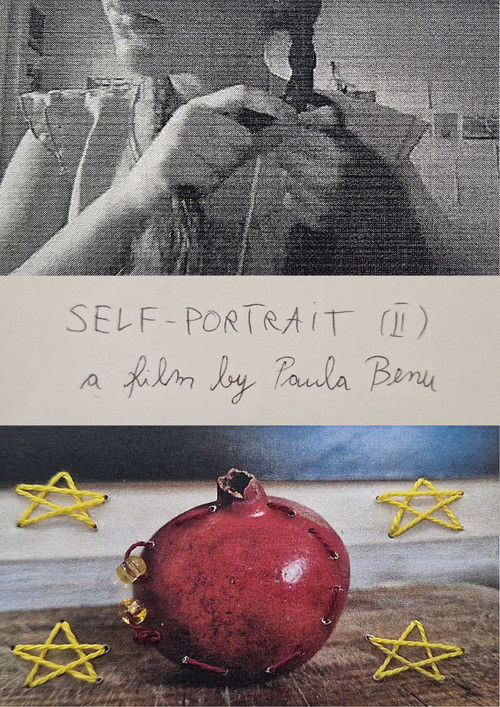Self-portrait II (2024) poster