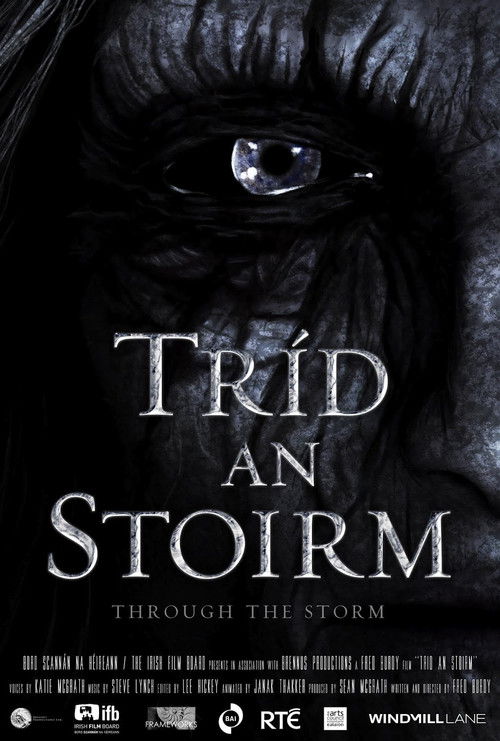 Tríd an Stoirm (2012) poster