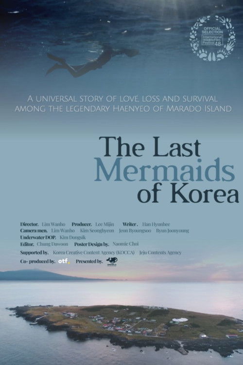 The Last Mermaids of Korea (2025) poster