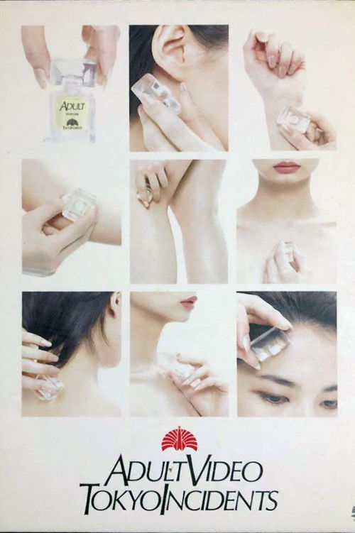 Adult Video (2006) poster