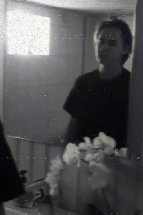 Vad gömmer sig i skuggorna (2024) poster