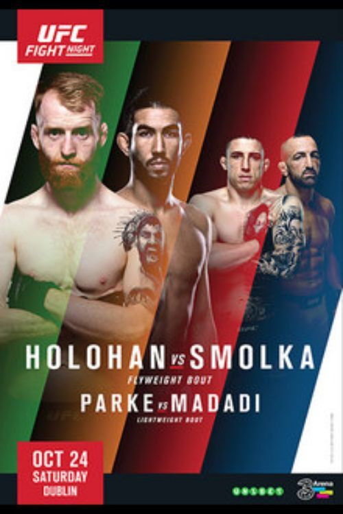 UFC Fight Night 76: Holohan vs. Smolka (2015) poster