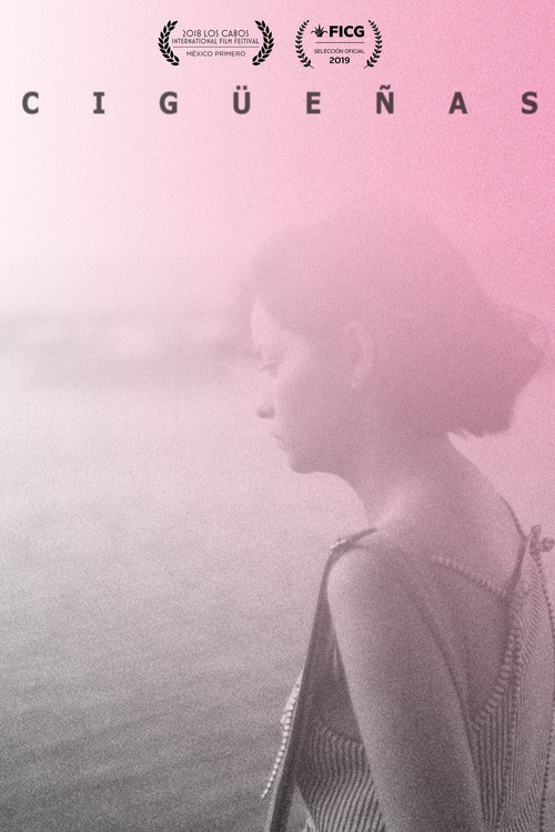 Çingeneler (2018) poster