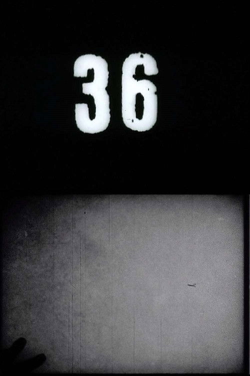 Fluxfilm No. 36 (1970) poster