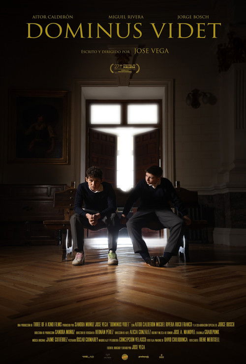 Dominus videt (2024) poster