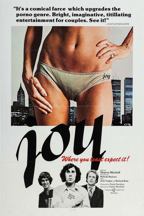 Joy (1977) poster