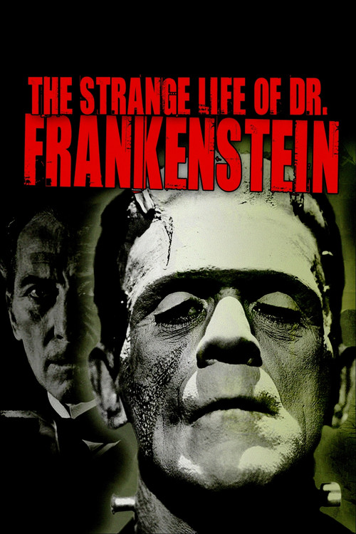 Le Funeste Destin du docteur Frankenstein (2018) poster