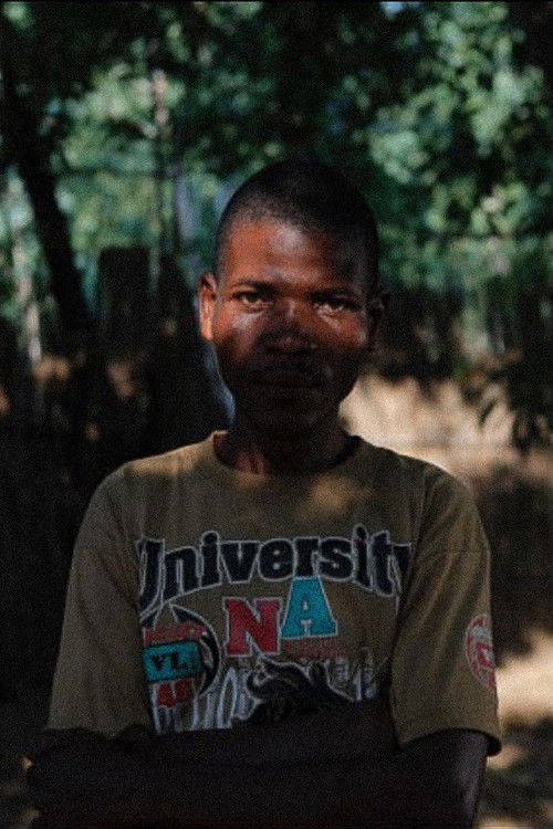 The Benevolent Dictator (2016) poster