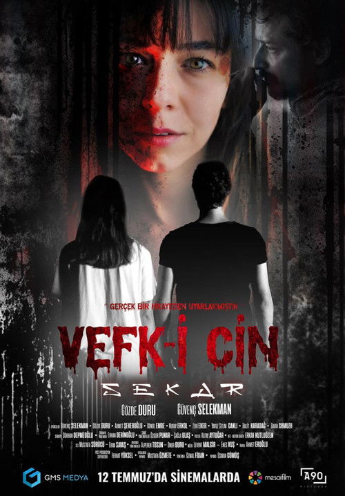 Vefk-i Cin Sekar (2024) poster