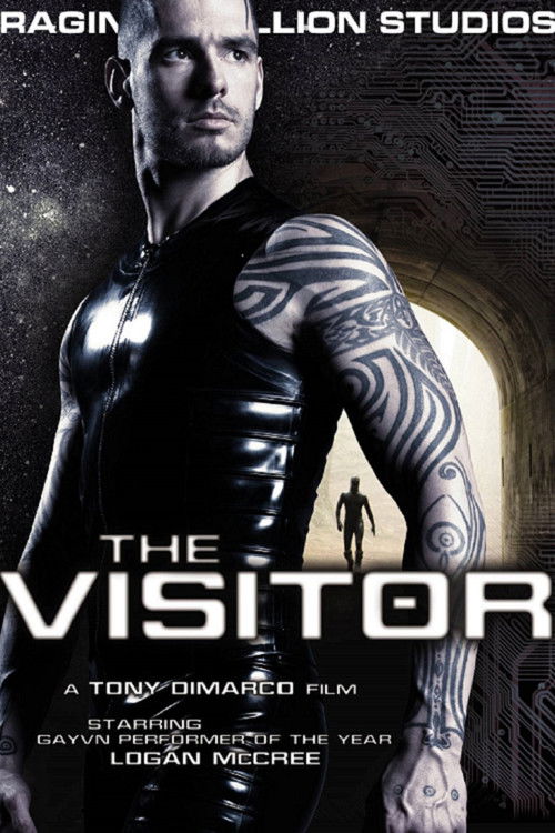 The Visitor (2009) poster