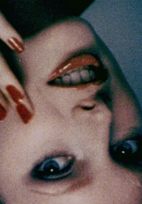 Let's Make a Sandwich (1978) poster