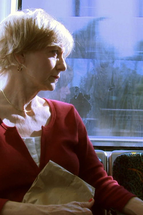 The Sword and the Sheath (2008) poster