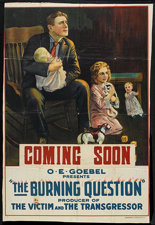 The Burning Question (1919) poster
