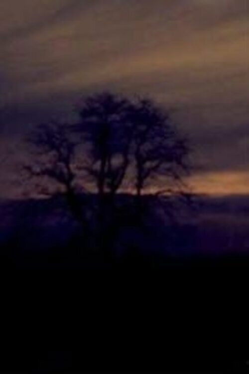 One Dream (2011) poster