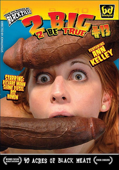 2 Big 2 Be True 13 (2009) poster