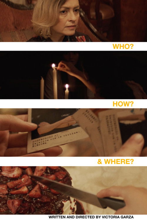 Who? How? And Where? (2022) poster