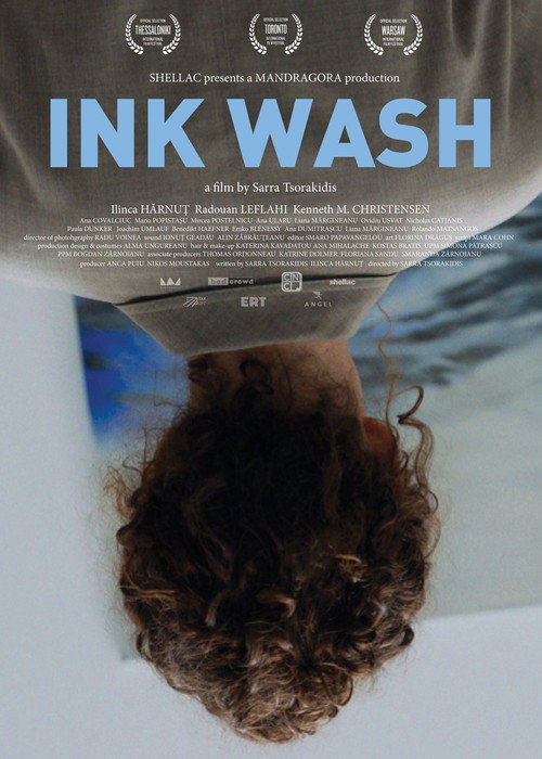 Ink Wash (2024) poster