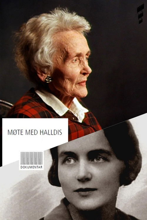 Møte med Halldis (1995) poster