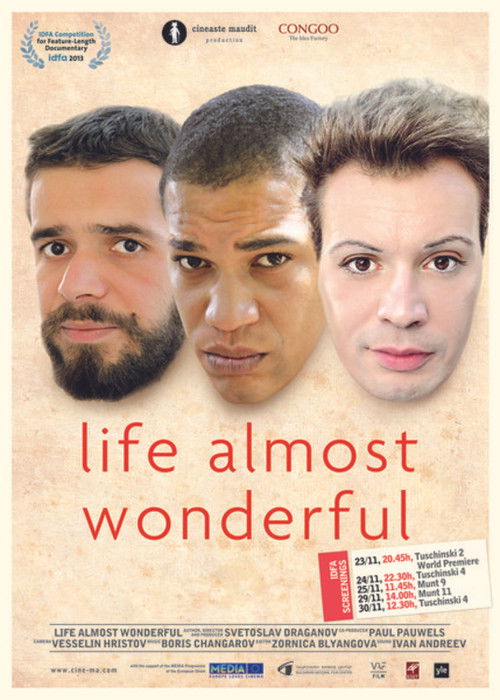 Life Almost Wonderful (2013) poster
