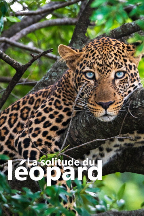 La solitude du léopard (2024) poster