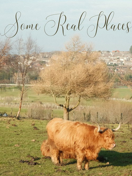 Some Real Places (2025) poster