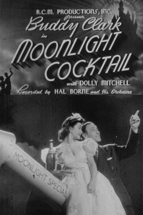 Moonlight Cocktail (1942) poster