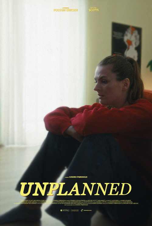 Unplanned (2024) poster