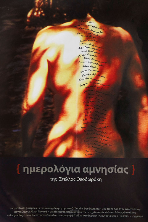 Amnesia Diaries (2012) poster