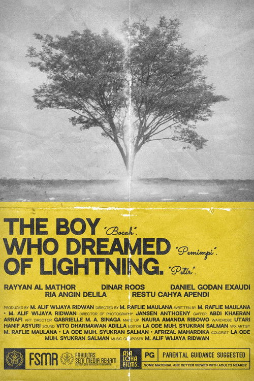The Boy Who Dreamed of Lightning (2023) poster
