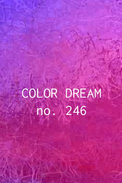 Color Dream no. 246 (2006) poster