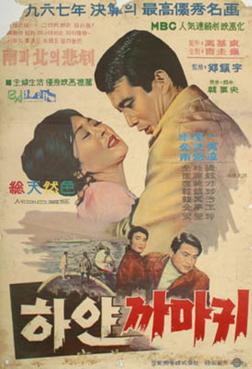 하얀 까마귀 (1967) poster