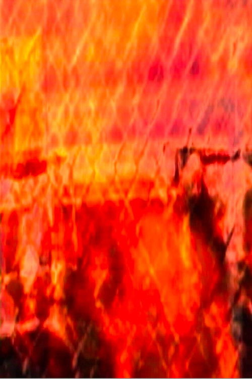 Lika (Licre) (2007) poster