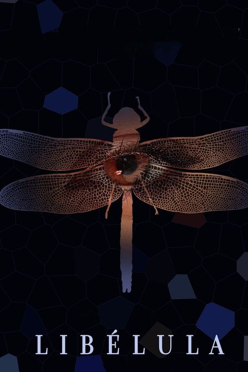 Libélula (2022) poster