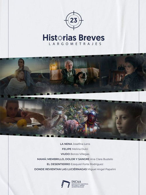 Historias Breves 23 (2024) poster