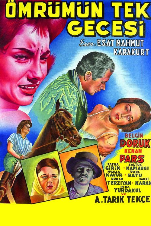 Ömrümün Tek Gecesi (1959) poster