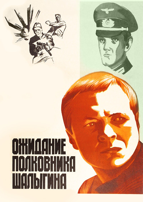 Ожидание полковника Шалыгина (1982) poster
