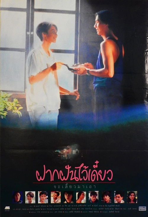Keep My Dream for a While, I Will Retrieve It Later (1992) poster