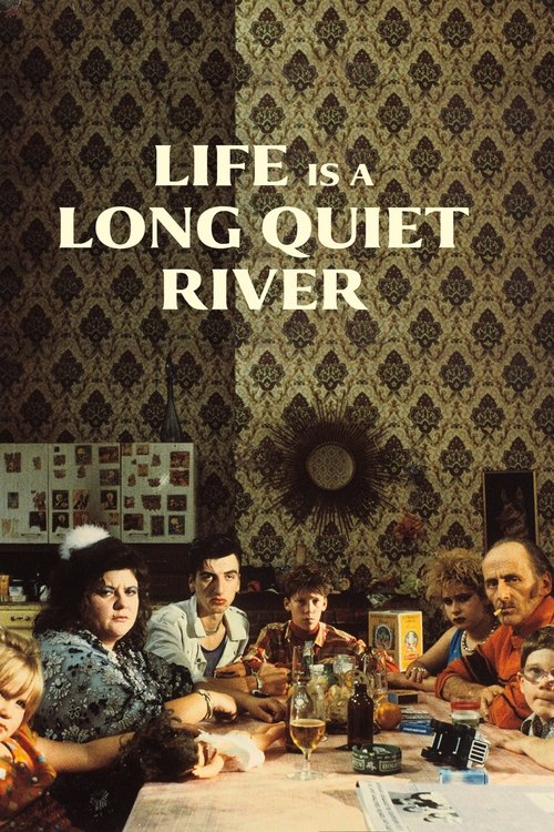 La vie est un long fleuve tranquille (1988) poster