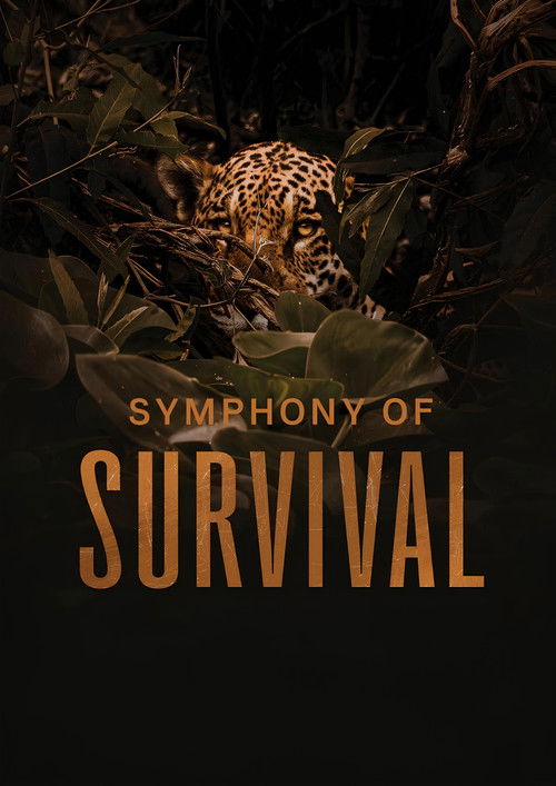 Symphony of Survival (2024) poster