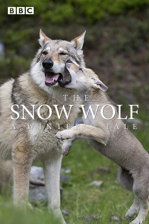 The Snow Wolf: A Winter's Tale (2018) poster