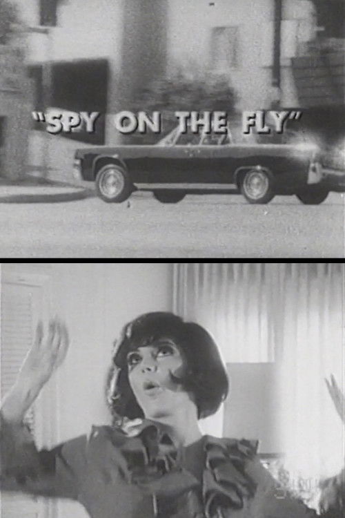 Spy on the Fly (1967) poster