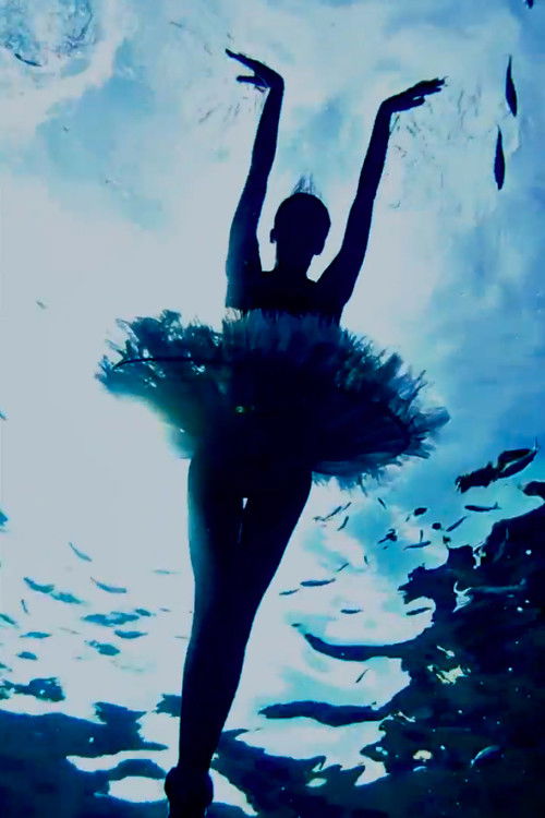 Bodrum Dream (2012) poster