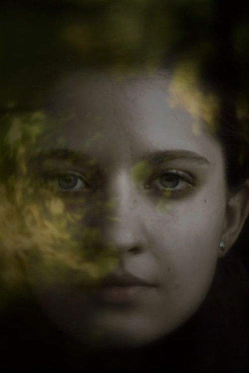 Karma Baroque (2010) poster