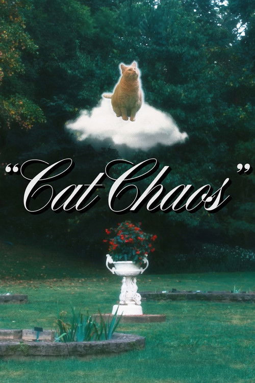 Cat Chaos (2024) poster