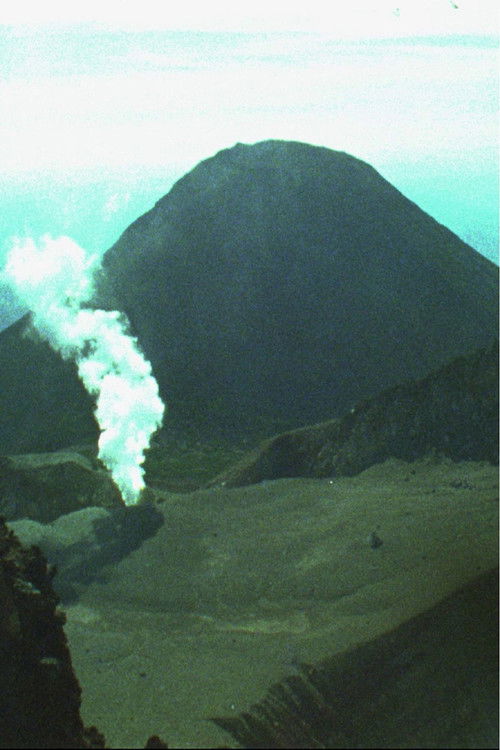 Wabi Sabi (2019) poster